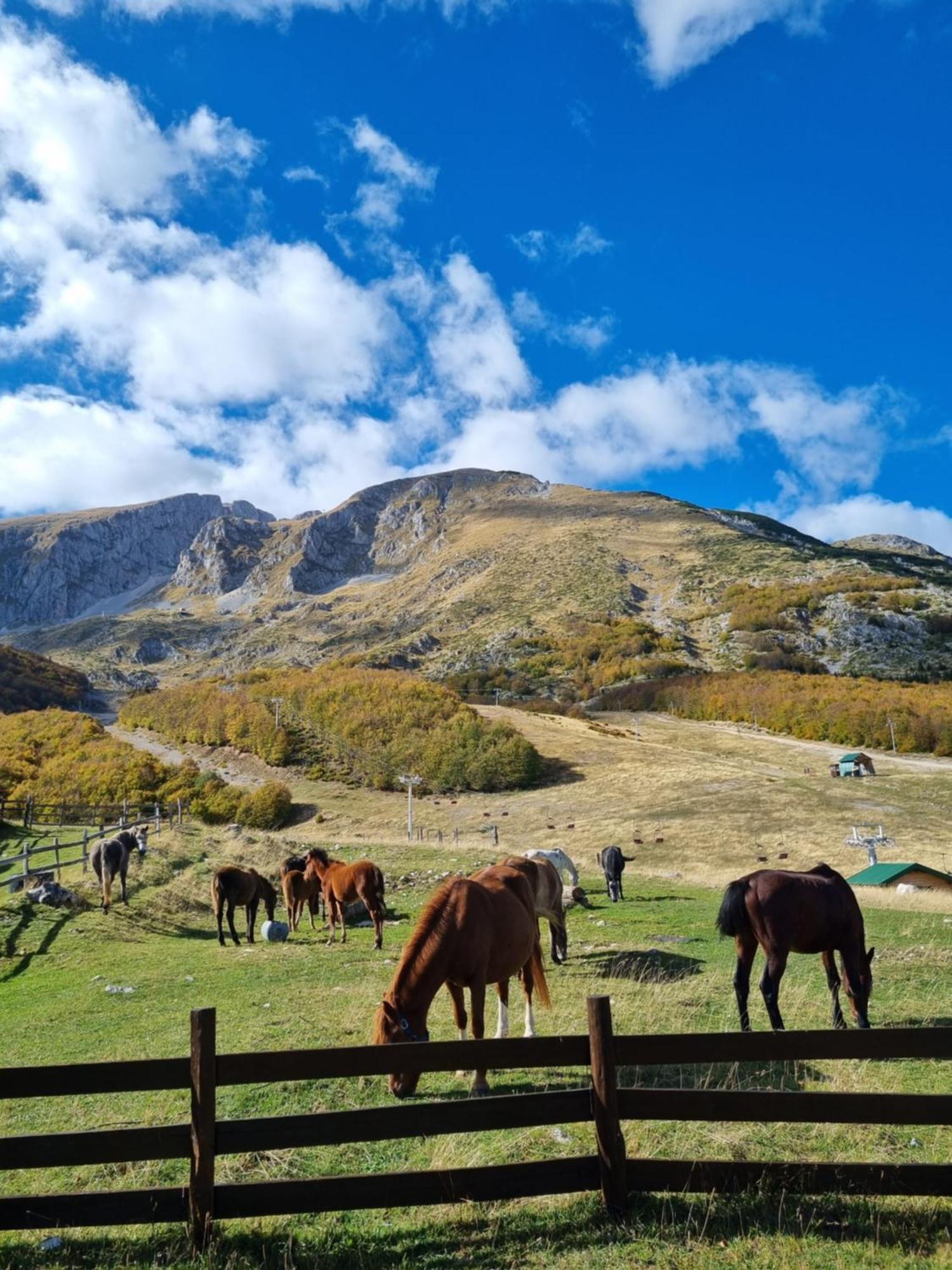 자블야크 Mountain House 빌라 외부 사진